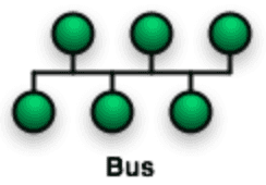 bus topology